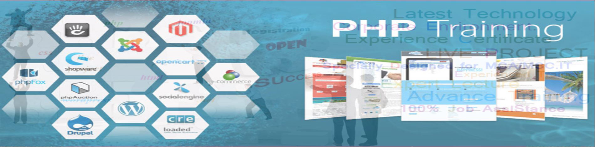 Slide Image